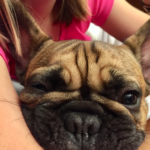 Meet your Posher, Tracy - Picture 10 of 15